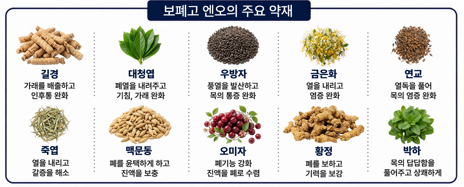 보폐고 엔오 주요 약재. 길경, 대청엽, 우방자, 금은화, 연교, 죽엽, 맥문동, 오미자, 황정, 박하 안내